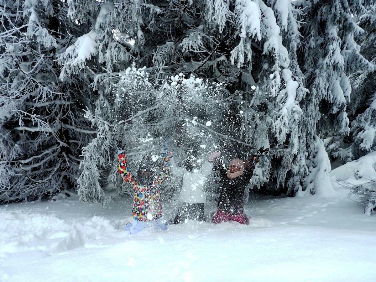 Strbske Pleso Rezidencia Oliver - Apartman 16A Exteriör bild
